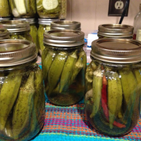 PICKLED OKRA RECIPE WITHOUT CANNING RECIPES
