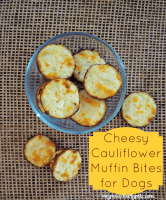 Can Dogs Eat Cauliflower? Do's & Don'ts + 3 Best Recipes! image