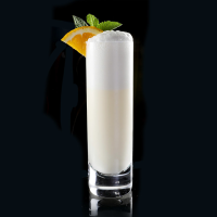 NEW ORLEANS GIN FIZZ RECIPES
