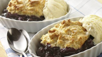BERRY COBBLER WITH BISQUICK RECIPES