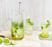 VODKA AND SPARKLING WATER DRINKS RECIPES