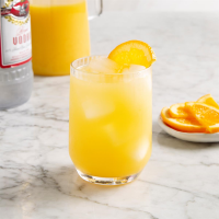 WHAT GOES GOOD WITH PEACH VODKA RECIPES