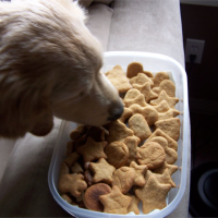 Good Dog Cookies Recipe | Allrecipes image