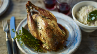 Roast pheasant and bread sauce recipe - BBC Food image