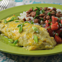 Green Chicken Enchiladas Recipe | Allrecipes image