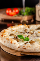 BREAD FLOUR PIZZA DOUGH RECIPES