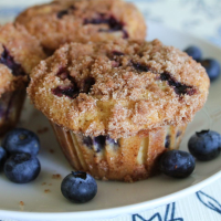 LARGE BLUEBERRY MUFFINS RECIPES