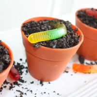 DIRT CAKE RECIPE WITH GUMMY WORMS RECIPES