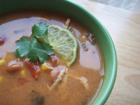 Slow-Cooker Chicken Tortilla Soup Recipe | Allrecipes image