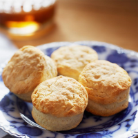 LIGHT AND FLUFFY BISCUITS RECIPES