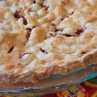 Mom's Cranberry Apple Pie - Allrecipes image