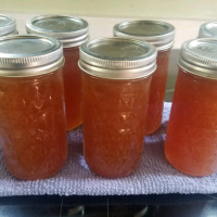 RECIPE FOR CANNING PEAR PRESERVES RECIPES