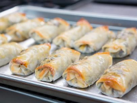 Southwestern Egg Rolls with Salsa Dipping Sauce Recipe ... image