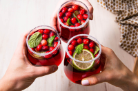 DRINKS WITH CRANBERRY AND VODKA RECIPES