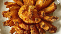 BLOOMING ONION AIR FRYER RECIPES RECIPES