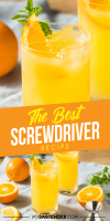How to Make a Vodka Screwdriver Drink - MyBarten… image