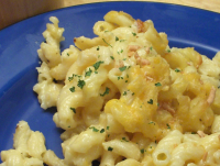 BAKED MAC AND CHEESE WITH VELVEETA AND MILK RECIPES