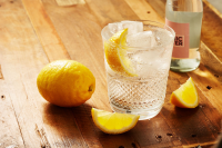 Best Vodka Tonic Recipe - How To Make Vodka Tonic image