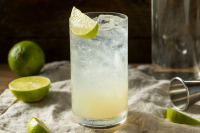 The Gin Rickey Cocktail Recipe - MyBartender image