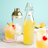 VODKA AND JUICE COCKTAILS RECIPES