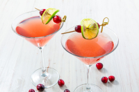 COCKTAILS WITH FRESH WATERMELON RECIPES