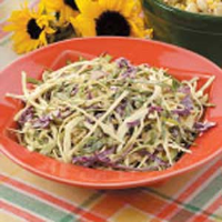 Homemade Coleslaw Dressing Recipe: How to Make It image