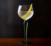 VODKA MARTINI WITH BITTERS RECIPES