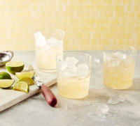COCKTAIL WITH VODKA AND RUM RECIPES