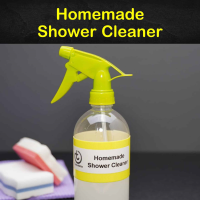 3+ Do-It-Yourself Shower Cleaner Recipes image