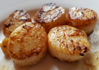SCALLOPS MEAL RECIPES