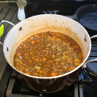 Spicy Lentil Soup Recipe | Allrecipes image