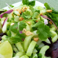 CUCUMBER AND RED ONION SALAD RECIPE RECIPES
