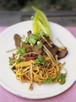ASIAN BEEF NOODLE RECIPES