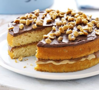 CAKE WITH PEANUT BUTTER FILLING RECIPES