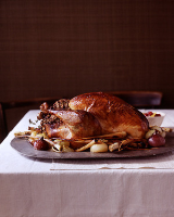 Perfect Roast Turkey 101 Recipe - Martha Stewart image
