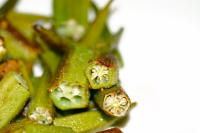 HOW TO COOK WITH OKRA RECIPES
