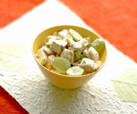 Carol's Chicken Salad Recipe | Allrecipes image