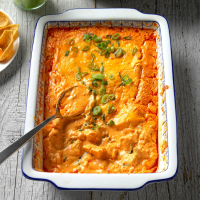 CHICKEN DIP WITH CANNED CHICKEN RECIPES