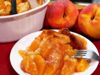 EASY PEACH COBBLER USING CANNED PEACHES RECIPES