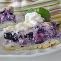 Nova Scotia Blueberry Cream Cake Recipe | Allrecipes image