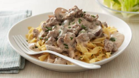 GROUND BEEF STROGANOFF WITHOUT MUSHROOMS RECIPES