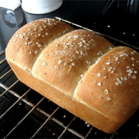 Light Oat Bread Recipe | Allrecipes image