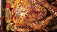 HOW TO COOK A BRINED TURKEY IN THE OVEN RECIPES
