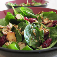 WHAT GOES IN A SPINACH SALAD RECIPES