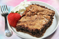 Chocolate Gooey Butter Cake Recipe | Allrecipes image