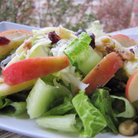 SALAD WITH CRANBERRY DRESSING RECIPES