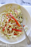 CABBAGE SLAW WITH VINEGAR RECIPES
