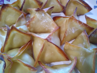 BAKED WONTON RECIPES APPETIZERS RECIPES