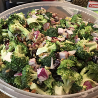 Broccoli Cranberry Salad Recipe | Allrecipes image