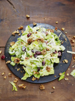 SALAD WITH CELERY APPLES AND WALNUTS RECIPES